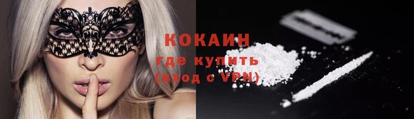 тгк Болотное
