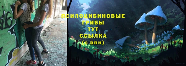 мяу мяу мука Куйбышев
